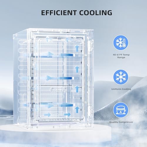 Antarctic Star 18L Mini Fridge 24 Can,Beverage Refrigerator with Quiet Compressor LED Light,Small Cooler with Electronic Temperature Control for Home/Office/Dorm/Bar. - Image 4