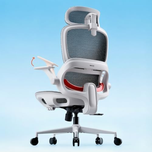 SIHOO B100 Mesh Office Chair, Comfy Ergonomic Office Chair by SIHOO