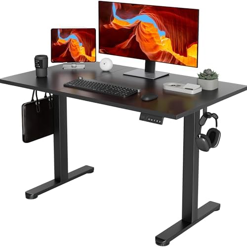 YDN 48 x 24 Inch Black Electric Standing Desk by YDN
