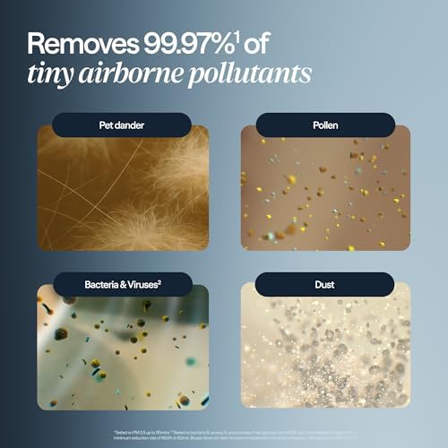 BLUEAIR Air Purifiers for Home up to 2,107 Ft², Blue 311i Max - Image 4