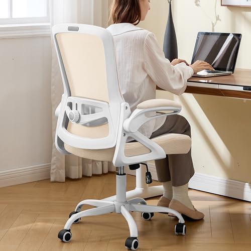 Ergonomic Office Chair Desk Chair with Adjustable Lumbar Support by NexthroOfficeChair