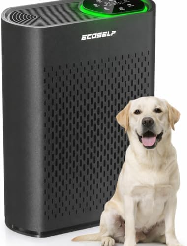 Air Purifier for Large Room, Cleans 2,400 ft² in 30 Mins True HEPA Filter Space Gray by ECOSELF