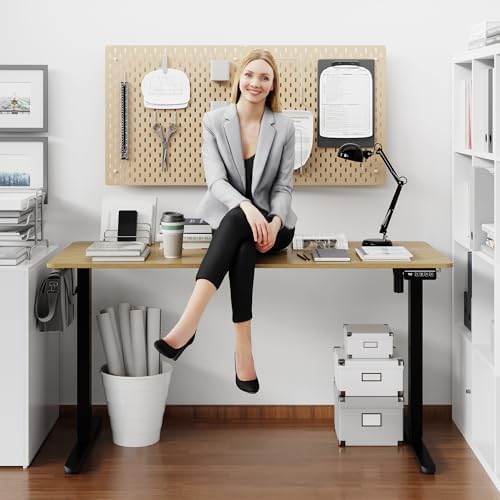 Shintenchi Standing Desk,55x24 Inch Height Adjustable Electric Sit Stand up Desk, Ergonomic Rising Computer Table, Modern Lift Gaming Desk Workstation for Home Office, White - Image 3