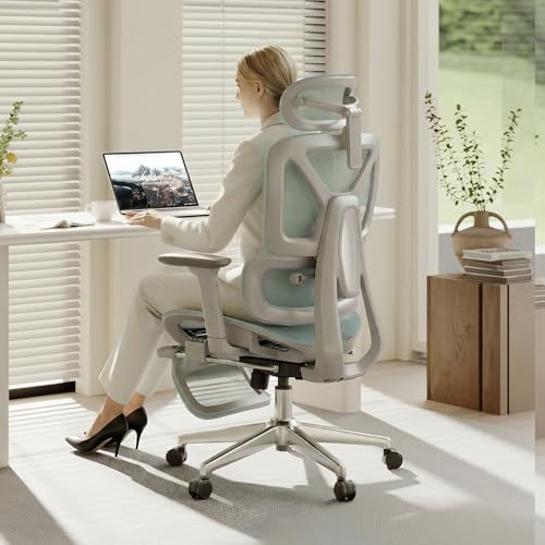 FLEXISPOT ErgoX Premium Ergonomic Office Chair Blue-FT by Unknown