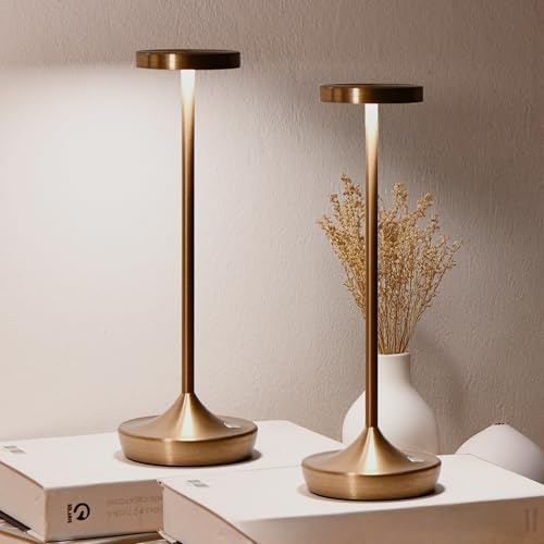 2 Pack Rechargeable Cordless Table Lamps 6000mAh LED Battery Table Light by YHT