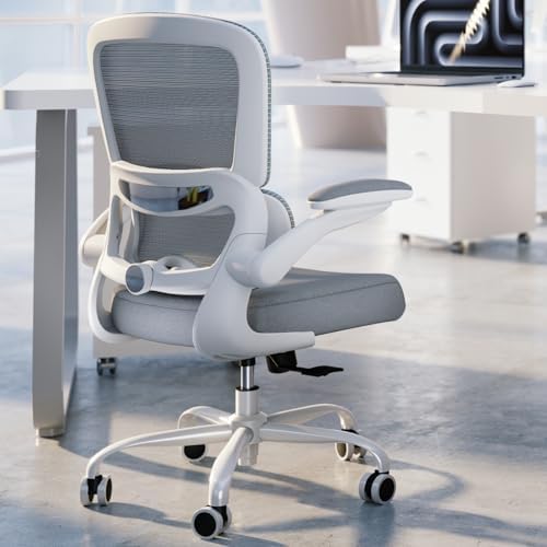 TRALT Office Chair - Ergonomic Desk Chair with Adjustable Lumbar Support, Mesh Computer Chair, Executive Chair for Home Office Comfortable Lumbar Support (1, White) by TRALT