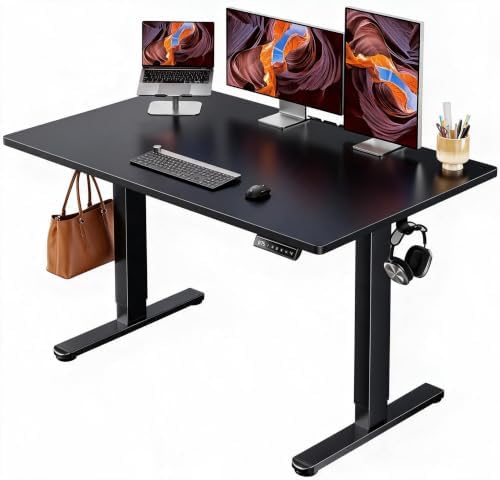 ErGear Electric Standing Desk, 48" x 30" Whole Piece Desktop, Adjustable Height Computer Desk, 4 Height Memory Settings, Sit Stand Up Desk for Home Office, Black by ErGear