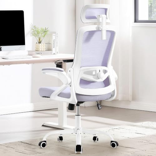Fizzin Office Chair Mesh Computer Chairs with Adjustable Lumbar Support by FizzinOfficeChair