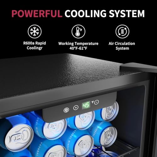 Icyglee 48 Can Mini Fridge, 1.3 Cu.Ft Beverage Refrigerator Cooler, Black - Image 3