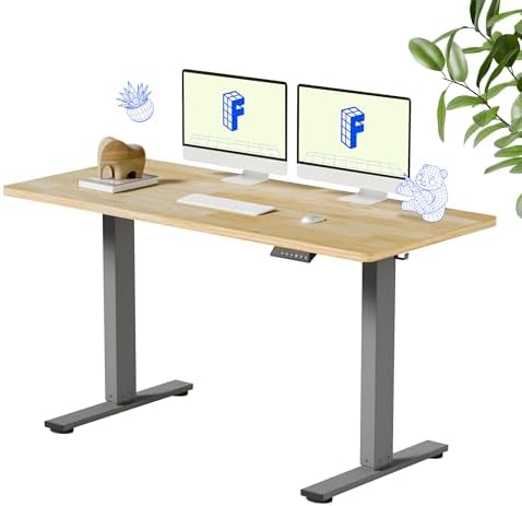 FLEXISPOT 55" x 24" Solid Wood Standing Desk, Silver Frame by Unknown