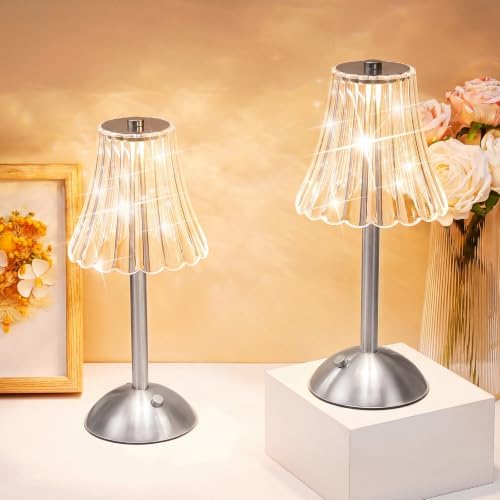 Liliful 2 Pcs Cordless Table Lamp LED Touch, Silver, Rose Style by Liliful