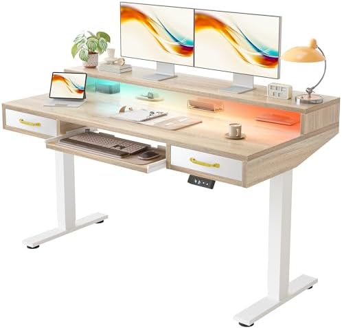TIQLAB Standing Desk with Two Drawers, Stand Up Standing Desk Adjustable Height, Electric Sit Stand Table with Storage Shelf and Splice Board, with LED Light, 55 * 28 inch, Maple by TIQLAB