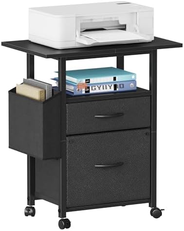 GYIIYUO 2 Drawer File Cabinet 24''W, Mobile Filing Cabinet, Printer Stand by GYIIYUO