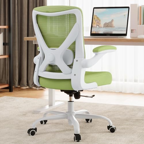 Ergalithic Office Chair: Mesh Ergonomic Desk Chair with 3D Lumbar & Swivel by Ergalithic