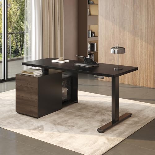 FLEXISPOT 55" Executive Standing Desk with Drawers & CPU Cabinet, Black by Unknown