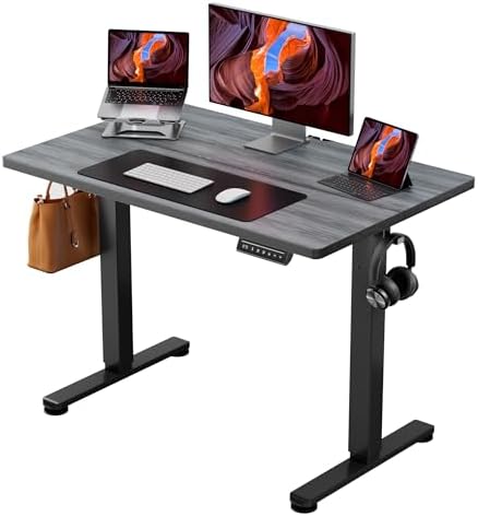 ErGear Height Adjustable Electric Standing Desk, 44 x 24 Inches Sit Stand up Desk, Memory Computer Home Office Desk, Grey by ErGear