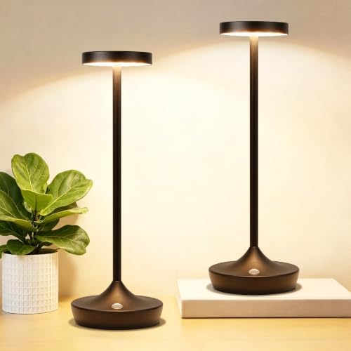 2 Pack Rechargeable Cordless Table Lamps 6000mAh LED Battery Table Light by YHT