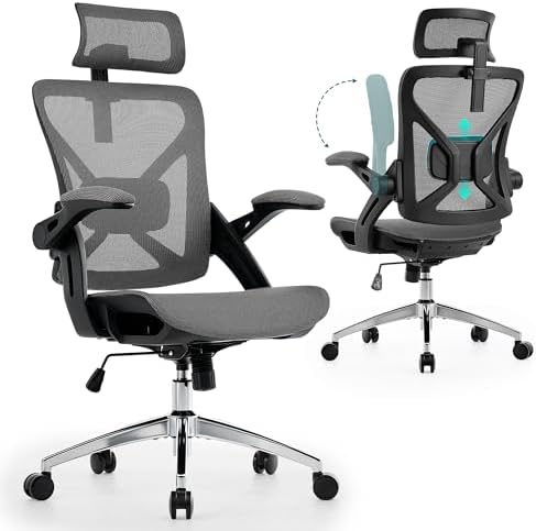 Executive Office Chairs Gaming Chairs with Headrest Lumbar,Grey by NexthroOfficeChair