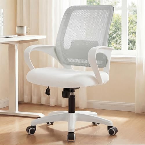 NEO CHAIR Home Office Desk Chair Ergonomic Mesh with Lumbar Support, Ivory by NEOCHAIR