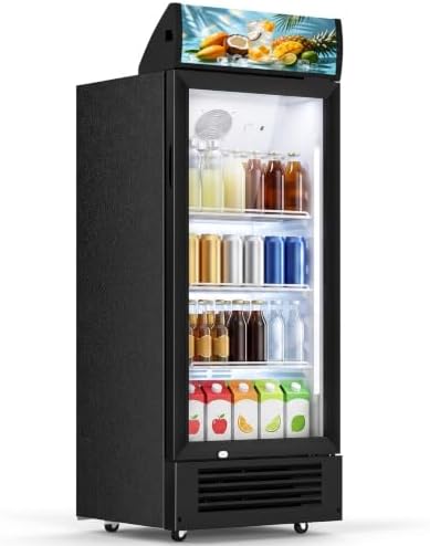 Erivess 6 Cu.Ft Commercial Refrigerators with Double-Tempered Glass Door by Erivess