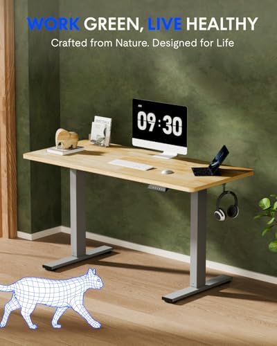 FLEXISPOT 48" x 24" Solid Wood Standing Desk, Silver Frame - Image 2