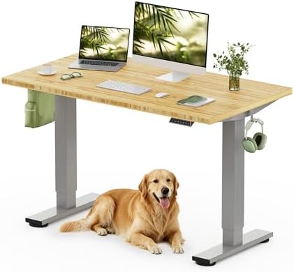 FLEXISPOT 48" x 24" Solid Bamboo Standing Desk, Silver Frame by Unknown