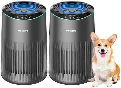 Air Purifiers for Bedroom Home for Smoke Pet Dander Odors 2 Pack Grey by MORENTO