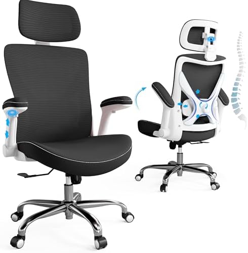 Ergonomic Office Chair:Home Office Desk Chairs with Headrest Lumbar Support by Ergalithic