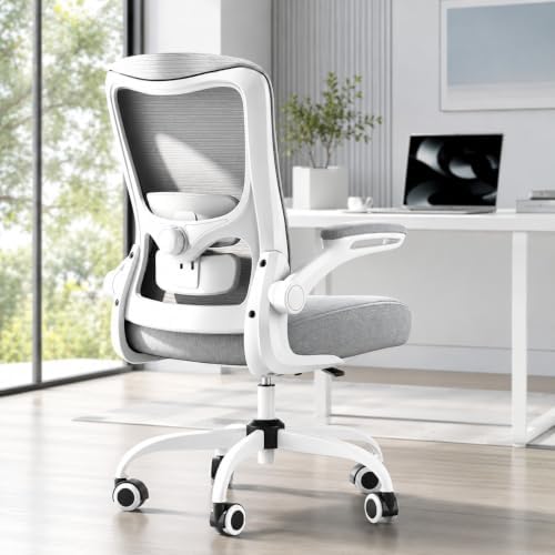 Ergonomic Office Chair for Long Hours, Adjustable Padded Lumbar Support for Lower Back Relief, 330 lb Capacity, Comfortable Computer Desk Chair for Home Office, Work & Study by DesignedforFocusedHours