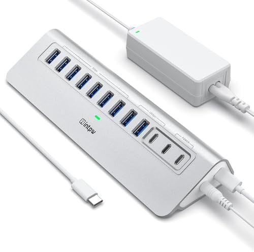 Powered USB Hub 10Gbps, intpw YH9AC 12 Port USB C Hub with 10Gbps USB C 3.2+2 USB A 3.2, 7 USB 3.0, 2 PD 45W Charging Port, 65W Power Adapter + 3.3FT Cable, Aluminum USB Hub for PC/Laptop/iPhone 17/16 by intpw