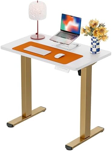 ErGear Height Adjustable Electric Standing Desk, 32 x 19 Inches Sit Stand up Desk, Memory Computer Home Office Desk, White+Gold by ErGear