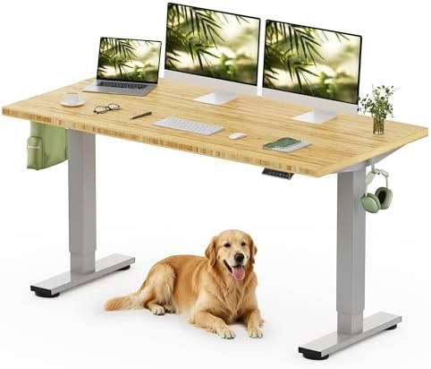 FLEXISPOT 60" x 30" Solid Bamboo Standing Desk, Silver Frame by Unknown