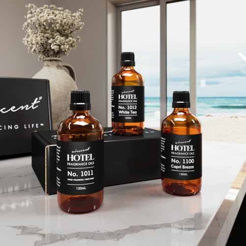 AirScent Hotel Diffuser Oil Gift Set - Beach Escape 3 Pack - 120 mL - Image 5