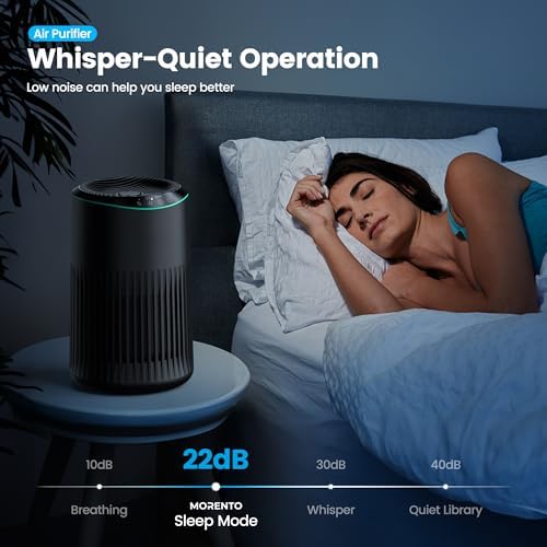 Air Purifiers for Bedroom Home for Smoke Pet Dander Odors 2 Pack Black - Image 4