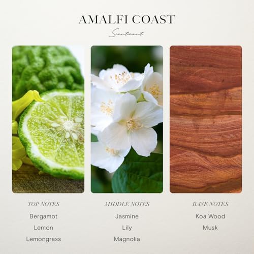 Scentiment Amalfi Coast Diffuser Oil - Premium Hotel Scent with Notes of Citrus, Lemongrass & Jasmine Home Scent, Hotel Fragrance Oil Diffuser Refill - 1.69 fl oz (50 mL) - Image 3