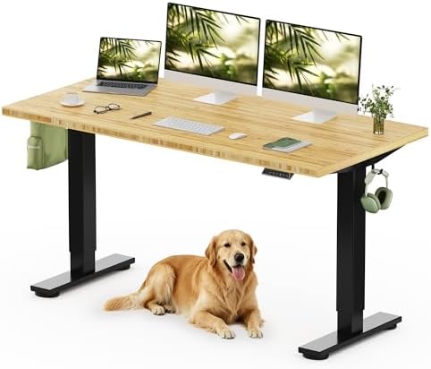 FLEXISPOT 60" x 30" Solid Bamboo Standing Desk, Black Frame by Unknown