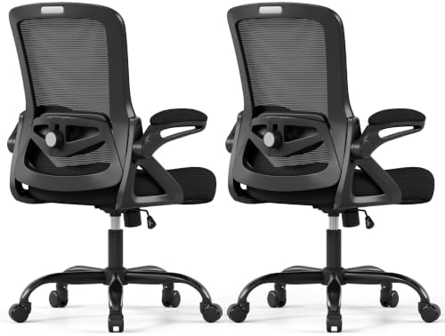 Ergonomic Office Chair Desk Chair with Adjustable Lumbar Support by NexthroOfficeChair