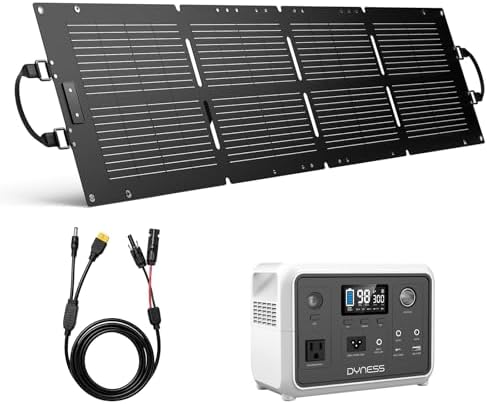 DYNESS Portable Power Station 300W with 100W Foldable Solar Panel, 256Wh Solar Generator with 110V Pure Sine Wave AC Outlet, LiFePO4 Battery for Camping, Home Backup, RV, Outdoor by Dyness