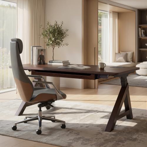 FLEXISPOT 63" WoodiX Solid Wood Executive Standing Desk with Drawer, Walnut by Unknown
