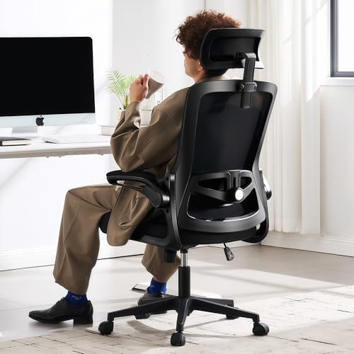 Fizzin Office Chair Mesh Computer Chairs with Adjustable Lumbar Support by FizzinOfficeChair
