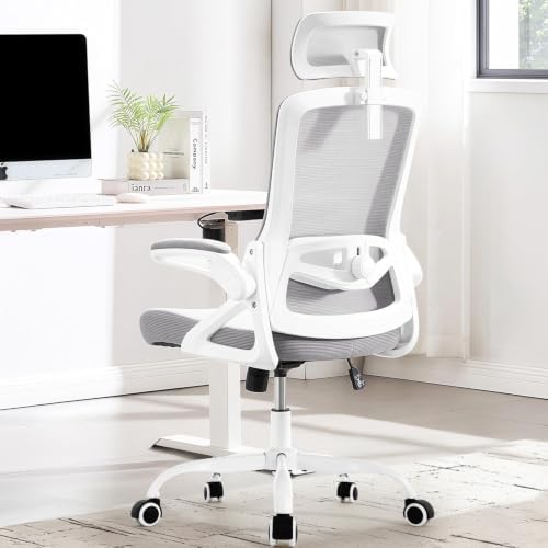 Fizzin Office Chair Mesh Computer Chairs with Adjustable Lumbar Support by FizzinOfficeChair