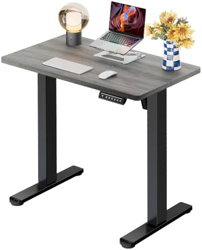 ErGear Height Adjustable Electric Standing Desk, 32 x 19 Inches Sit Stand up Desk, Memory Computer Home Office Desk, Grey by ErGear