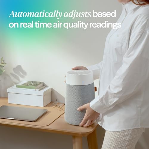 BLUEAIR Air Purifiers for Small Spaces Bedroom Dorm Office, Mini Max Auto - Image 5