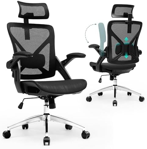 Executive Office Chairs Gaming Chairs with Headrest Lumbar,Black by NexthroOfficeChair