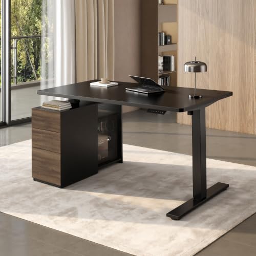 FLEXISPOT EN2 55"x28" Standing Desk Bundle with Storage Cabinet, Black - Image 2