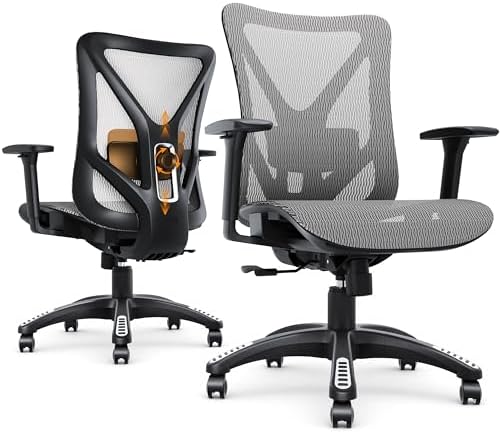 Ergonomic Office Chair, Mesh Computer Desk Chairs with BIFMA X5.1 Certified, Adjustable Lumbar Support, 3D Arm, Tilt Back, Wide Seat, Comfy Swivel Work Task Chair for Company and Home (Dawn Grey) by MOLENTS