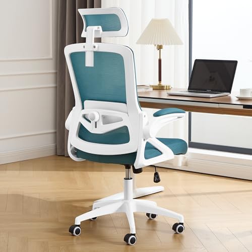 Fizzin Ergonomic Office Chair, Desk Chair with Adjustable Lumbar Support by FizzinOfficeChair