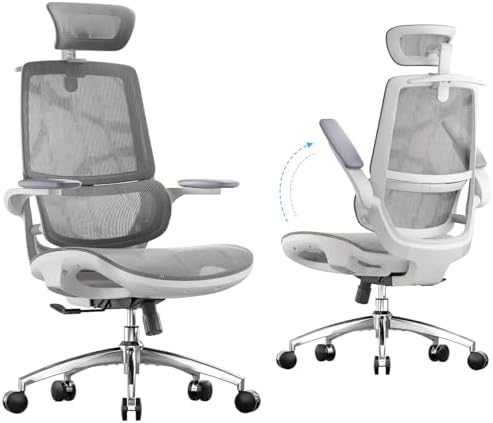 SIHOO M59AS Ergonomic Office Chair, Dual Backrest, Adaptive Lumbar Support by SIHOO