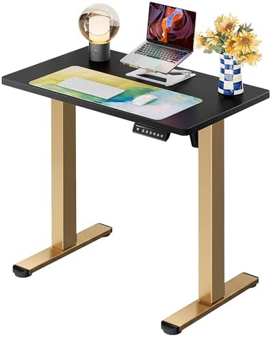 ErGear Height Adjustable Electric Standing Desk, 32 x 19 Inches Sit Stand up Desk, Memory Computer Home Office Desk, Black+Gold by ErGear
