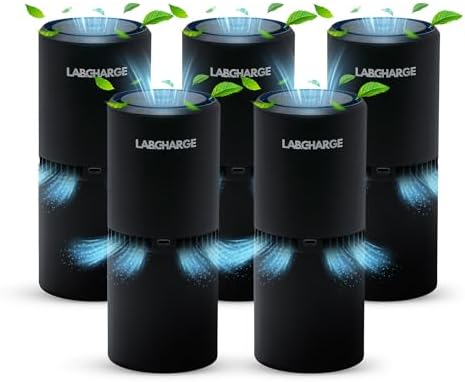 LabCharge Small Ionic Air Purifier for Home & Bedroom – Silent HEPA Filter – Covers 250 Sq Ft – For Pet Hair, Smoke, Dust, Odors & Dander – Compact Black Design – Pack of 5 by LabCharge